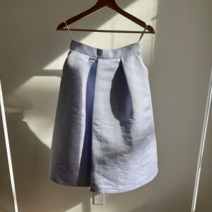 Elegant Blue Women's Skirt